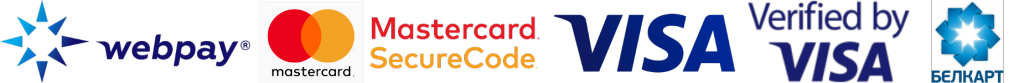 логотипы платежных систем.png